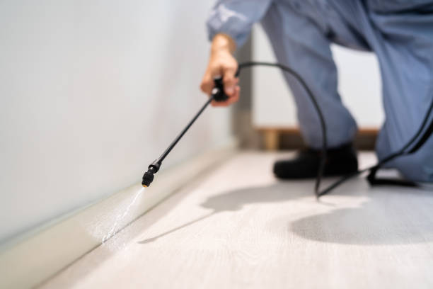 Licensed Termite Control service in Elkin, NC - Nex Pest Control