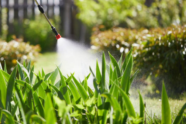 24/7 Emergency Termite Control experts in Elkin, NC